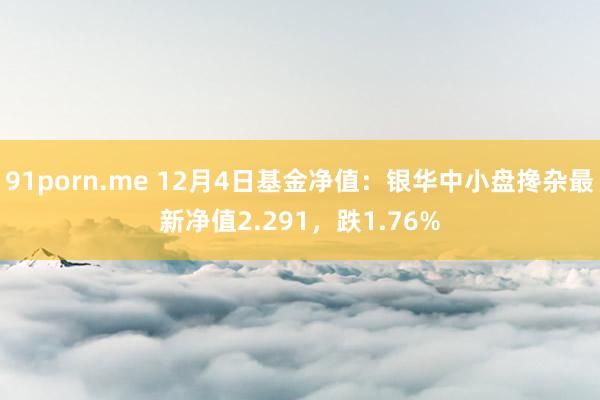 91porn.me 12月4日基金净值：银华中小盘搀杂最新净值2.291，跌1.76%