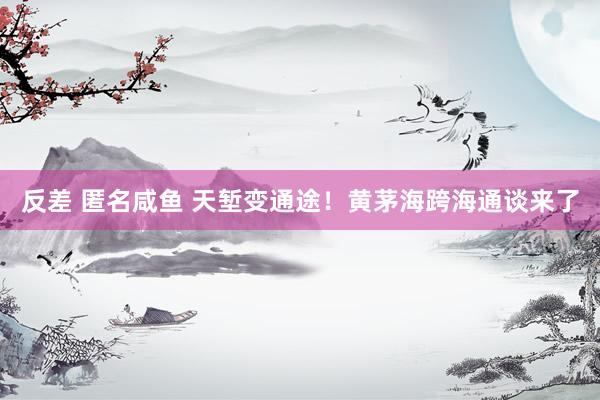 反差 匿名咸鱼 天堑变通途！黄茅海跨海通谈来了