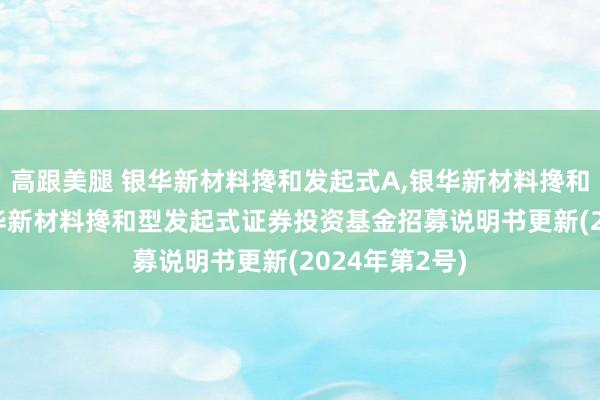 高跟美腿 银华新材料搀和发起式A,银华新材料搀和发起式C: 银华新材料搀和型发起式证券投资基金招募说明书更新(2024年第2号)