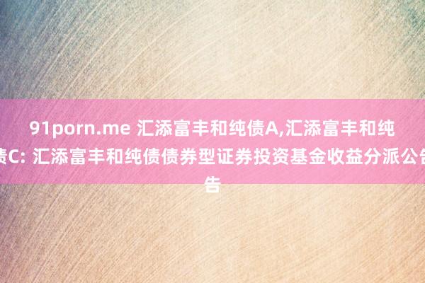 91porn.me 汇添富丰和纯债A,汇添富丰和纯债C: 汇添富丰和纯债债券型证券投资基金收益分派公告