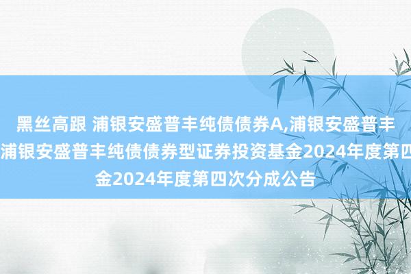 黑丝高跟 浦银安盛普丰纯债债券A,浦银安盛普丰纯债债券C: 浦银安盛普丰纯债债券型证券投资基金2024年度第四次分成公告