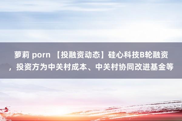 萝莉 porn 【投融资动态】硅心科技B轮融资，投资方为中关村成本、中关村协同改进基金等