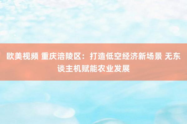 欧美视频 重庆涪陵区：打造低空经济新场景 无东谈主机赋能农业发展