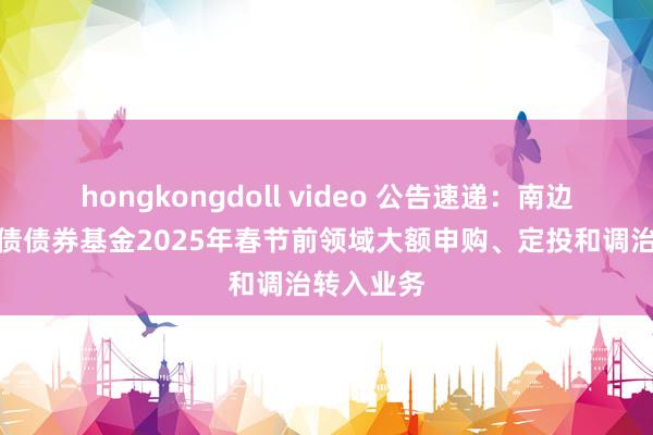 hongkongdoll video 公告速递：南边定元中短债债券基金2025年春节前领域大额申购、定投和调治转入业务