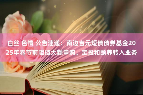白丝 色情 公告速递:南边吉元短债债券基金2025年春节前阻挡大额申购、定投和颐养转入业务