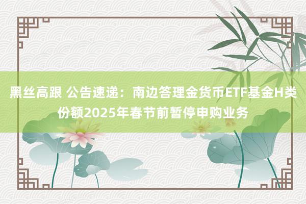 黑丝高跟 公告速递：南边答理金货币ETF基金H类份额2025年春节前暂停申购业务