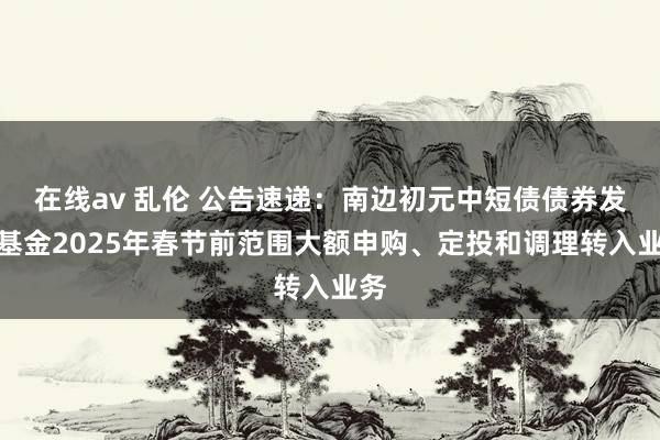 在线av 乱伦 公告速递：南边初元中短债债券发起基金2025年春节前范围大额申购、定投和调理转入业务