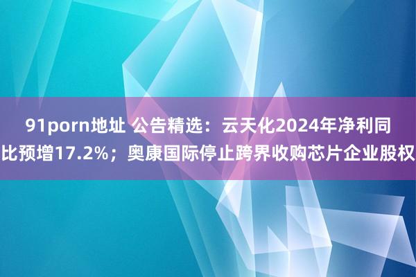 91porn地址 公告精选：云天化2024年净利同比预增17.2%；奥康国际停止跨界收购芯片企业股权