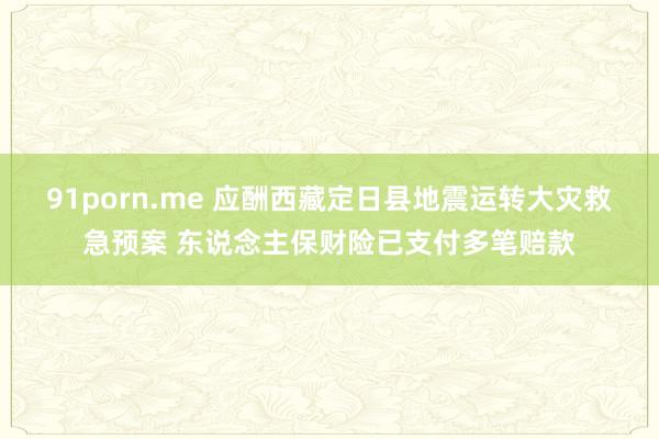 91porn.me 应酬西藏定日县地震运转大灾救急预案 东说念主保财险已支付多笔赔款