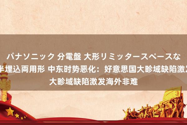 パナソニック 分電盤 大形リミッタースペースなし 露出・半埋込両用形 中东时势恶化：好意思国大畛域缺陷激发海外非难