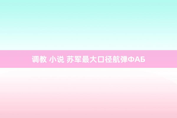 调教 小说 苏军最大口径航弹ФАБ