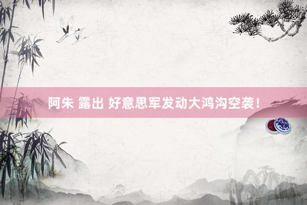 阿朱 露出 好意思军发动大鸿沟空袭！