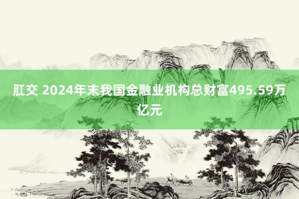肛交 2024年末我国金融业机构总财富495.59万亿元