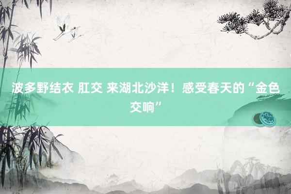 波多野结衣 肛交 来湖北沙洋！感受春天的“金色交响”