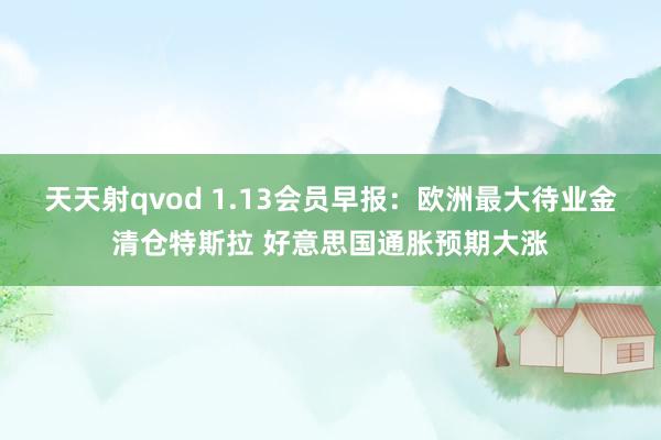 天天射qvod 1.13会员早报：欧洲最大待业金清仓特斯拉 好意思国通胀预期大涨