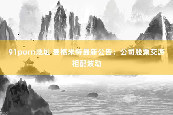 91porn地址 麦格米特最新公告：公司股票交游相配波动
