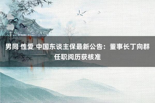 男同 性愛 中国东谈主保最新公告：董事长丁向群任职阅历获核准