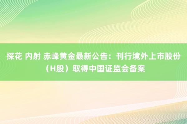 探花 内射 赤峰黄金最新公告：刊行境外上市股份（H股）取得中国证监会备案