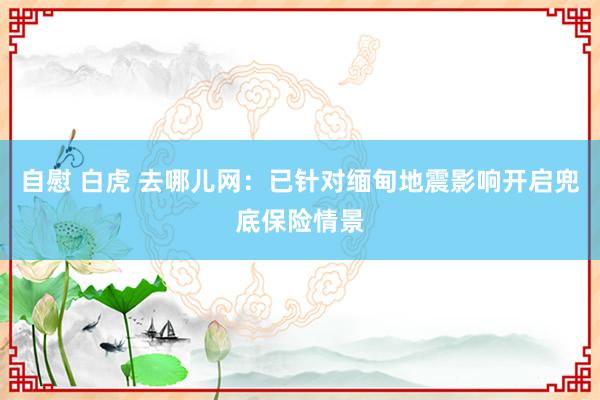 自慰 白虎 去哪儿网：已针对缅甸地震影响开启兜底保险情景