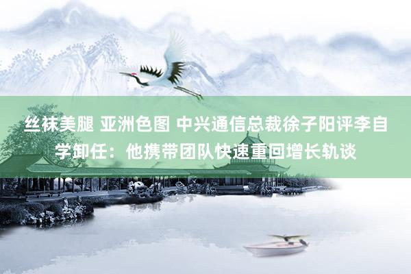 丝袜美腿 亚洲色图 中兴通信总裁徐子阳评李自学卸任：他携带团队快速重回增长轨谈