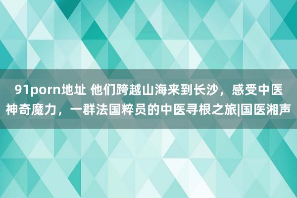91porn地址 他们跨越山海来到长沙，感受中医神奇魔力，一群法国粹员的中医寻根之旅|国医湘声