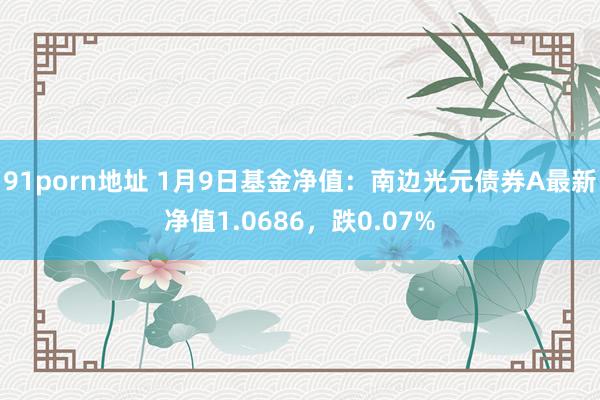 91porn地址 1月9日基金净值：南边光元债券A最新净值1.0686，跌0.07%