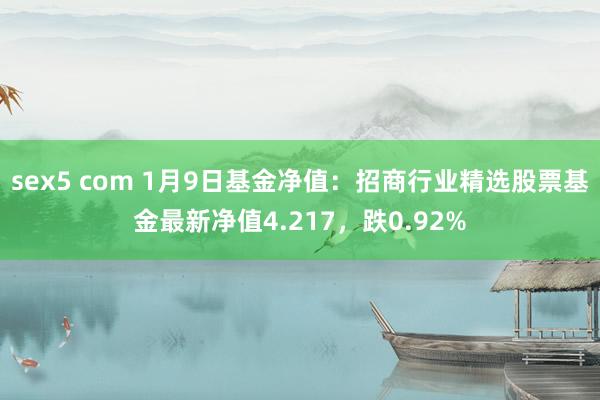 sex5 com 1月9日基金净值：招商行业精选股票基金最新净值4.217，跌0.92%