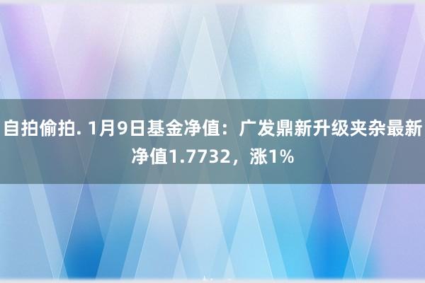 自拍偷拍. 1月9日基金净值：广发鼎新升级夹杂最新净值1.7732，涨1%