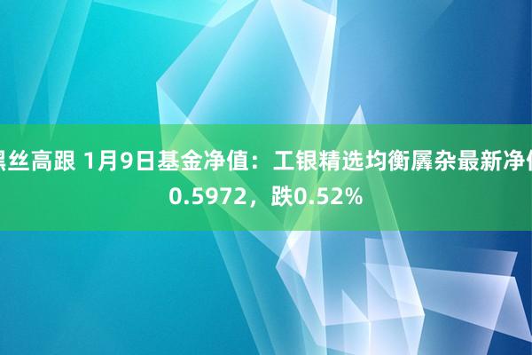 黑丝高跟 1月9日基金净值：工银精选均衡羼杂最新净值0.5972，跌0.52%
