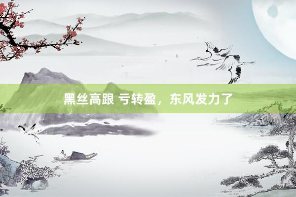 黑丝高跟 亏转盈，东风发力了
