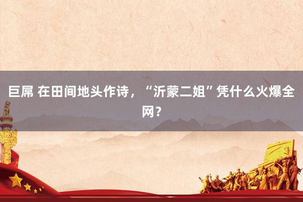 巨屌 在田间地头作诗，“沂蒙二姐”凭什么火爆全网？