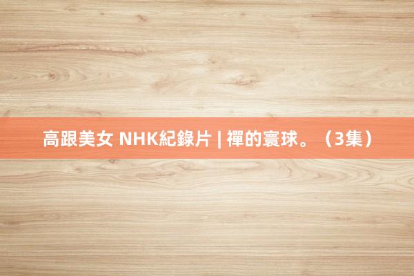 高跟美女 NHK紀錄片 | 禪的寰球。（3集）