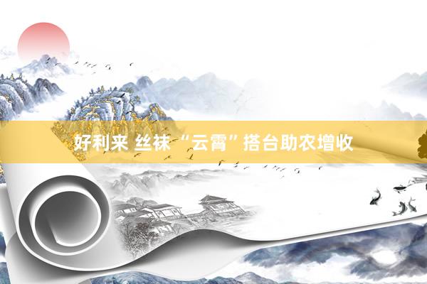 好利来 丝袜 “云霄”搭台助农增收