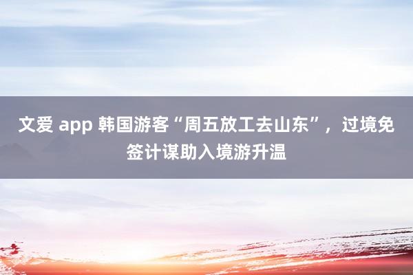 文爱 app 韩国游客“周五放工去山东”，过境免签计谋助入境游升温