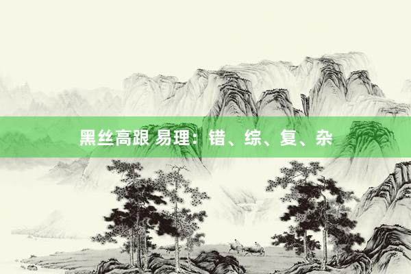 黑丝高跟 易理：错、综、复、杂