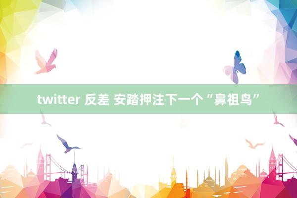 twitter 反差 安踏押注下一个“鼻祖鸟”