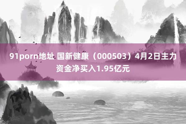 91porn地址 国新健康（000503）4月2日主力资金净买入1.95亿元