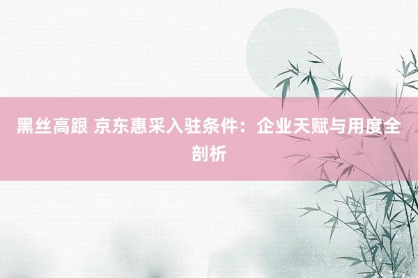 黑丝高跟 京东惠采入驻条件：企业天赋与用度全剖析