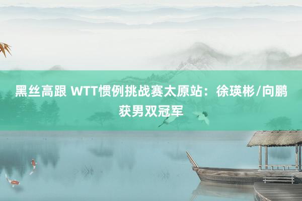 黑丝高跟 WTT惯例挑战赛太原站：徐瑛彬/向鹏获男双冠军