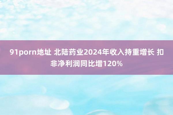 91porn地址 北陆药业2024年收入持重增长 扣非净利润同比增120%