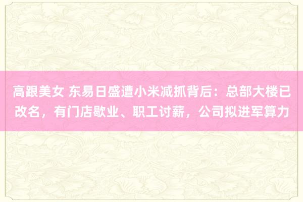 高跟美女 东易日盛遭小米减抓背后：总部大楼已改名，有门店歇业、职工讨薪，公司拟进军算力