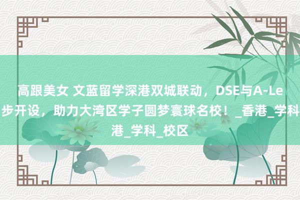 高跟美女 文蓝留学深港双城联动，DSE与A-Level同步开设，助力大湾区学子圆梦寰球名校！_香港_学科_校区