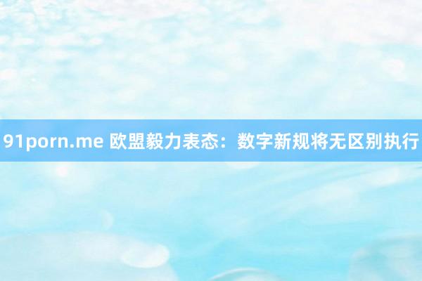 91porn.me 欧盟毅力表态：数字新规将无区别执行