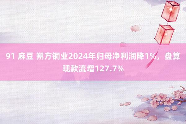 91 麻豆 朔方铜业2024年归母净利润降1%，盘算现款流增127.7%