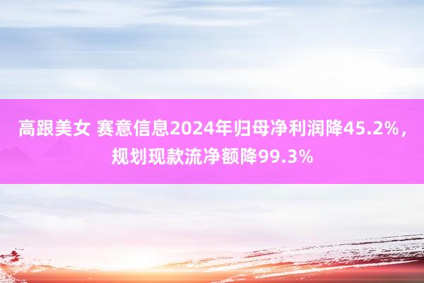 高跟美女 赛意信息2024年归母净利润降45.2%，规划现款流净额降99.3%