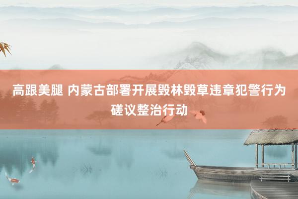 高跟美腿 内蒙古部署开展毁林毁草违章犯警行为磋议整治行动