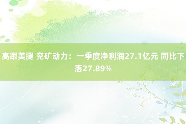 高跟美腿 兖矿动力：一季度净利润27.1亿元 同比下落27.89%