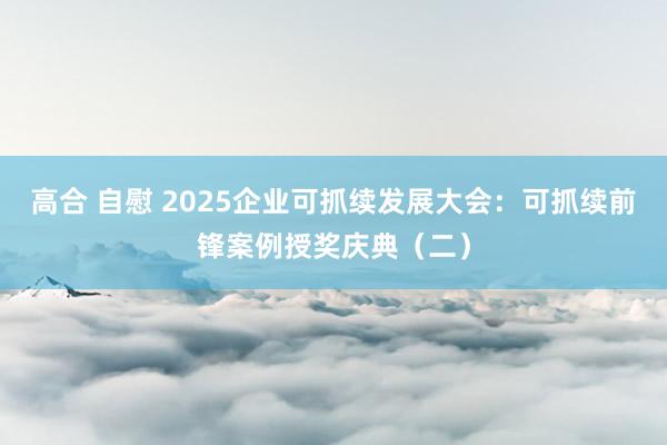 高合 自慰 2025企业可抓续发展大会：可抓续前锋案例授奖庆典（二）
