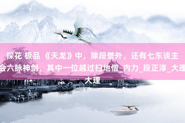 探花 极品 《天龙》中，除段誉外，还有七东谈主会六脉神剑，其中一位越过扫地僧_内力_段正淳_大理