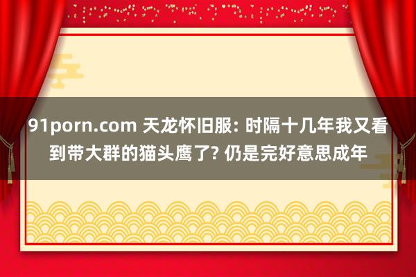 91porn.com 天龙怀旧服: 时隔十几年我又看到带大群的猫头鹰了? 仍是完好意思成年